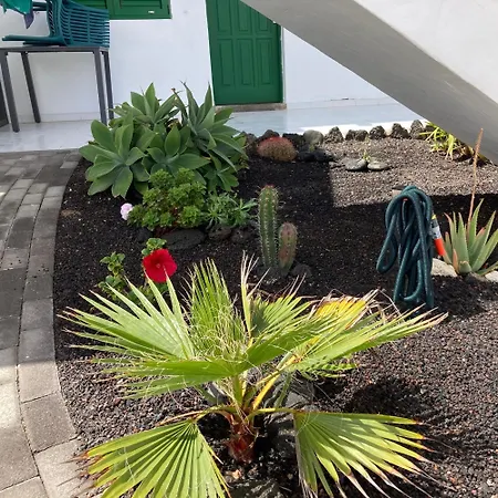 Traumappartement In El Mit Grosser Terrasse
